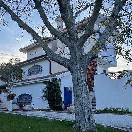 Il Giardino Degli Ulivi Villa Citta Sant'Angelo Bagian luar foto
