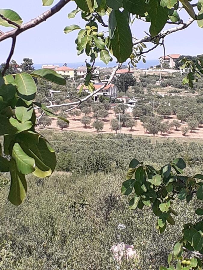 Il Giardino Degli Ulivi Villa Citta Sant'Angelo Bagian luar foto