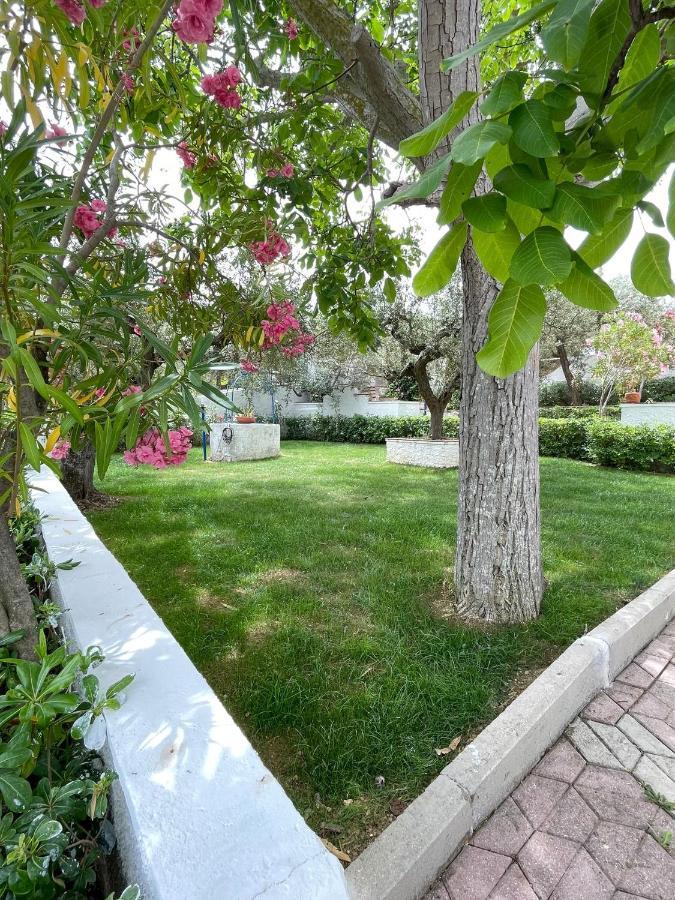 Il Giardino Degli Ulivi Villa Citta Sant'Angelo Bagian luar foto
