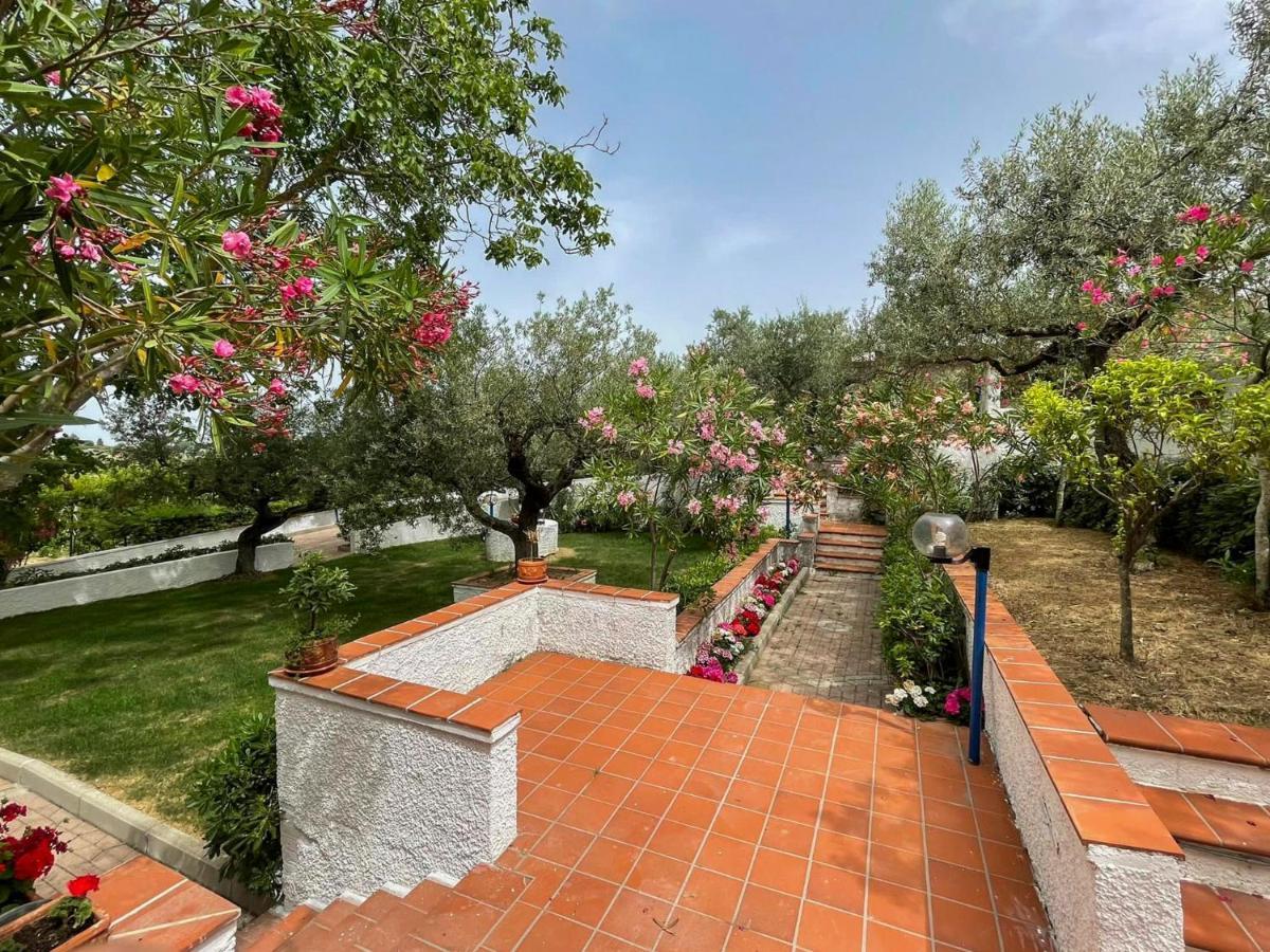 Il Giardino Degli Ulivi Villa Citta Sant'Angelo Bagian luar foto