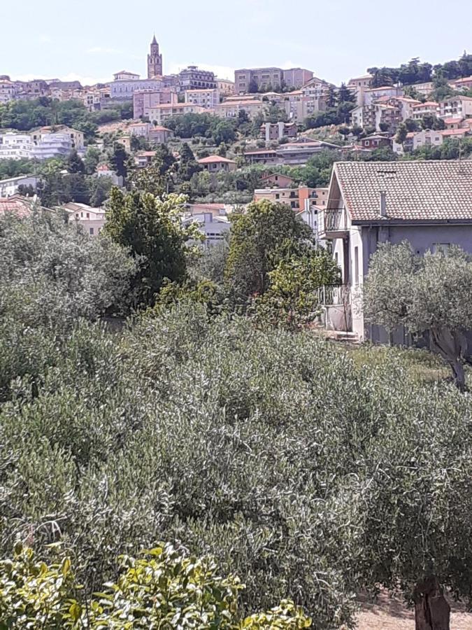 Il Giardino Degli Ulivi Villa Citta Sant'Angelo Bagian luar foto